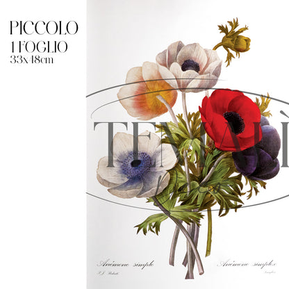 Dècoupage Botanical Vintage - Composizione Anemoni