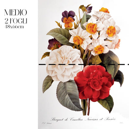 Dècoupage Botanical Vintage - Bouquet di Camelie e Narcisi