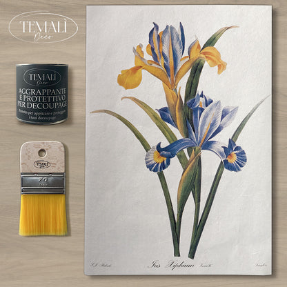 Dècoupage Botanical Vintage - Iris