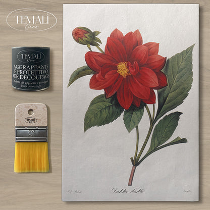 Dècoupage Botanical Vintage - Dalia