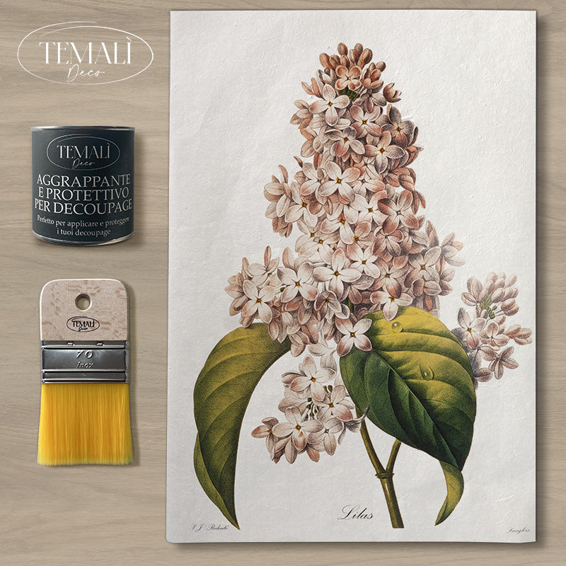 Dècoupage Botanical Vintage - Lillà