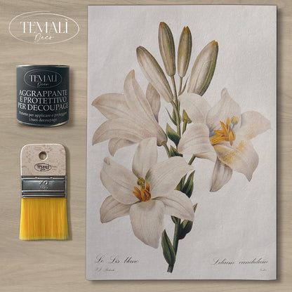 Découpage Botanical Vintage - Giglio Botanico