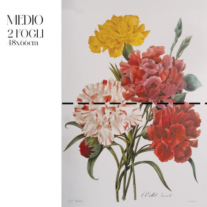 Découpage Botanical Vintage - Peonia Striata