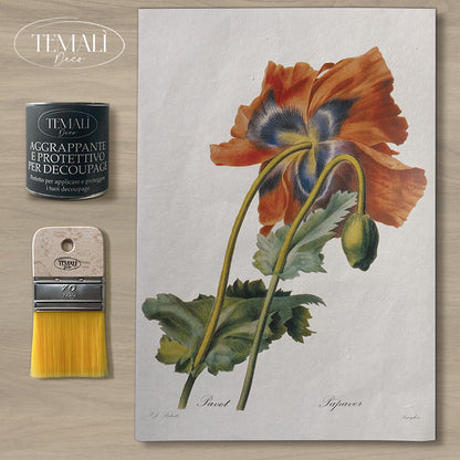 Dècoupage Botanical Vintage - Papavero Botanico