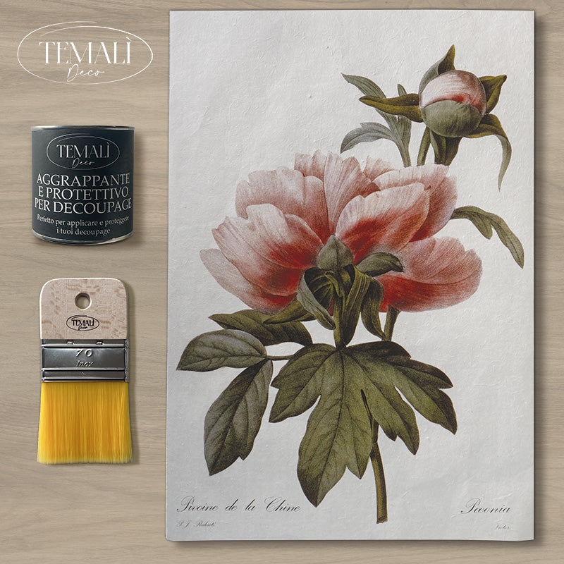Dècoupage Botanical Vintage - Peonia Cinese