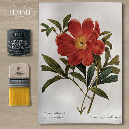 Découpage Botanical Vintage - Peonia Officinale