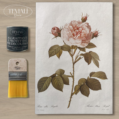 Dècoupage Botanical Vintage - Rosa Regale