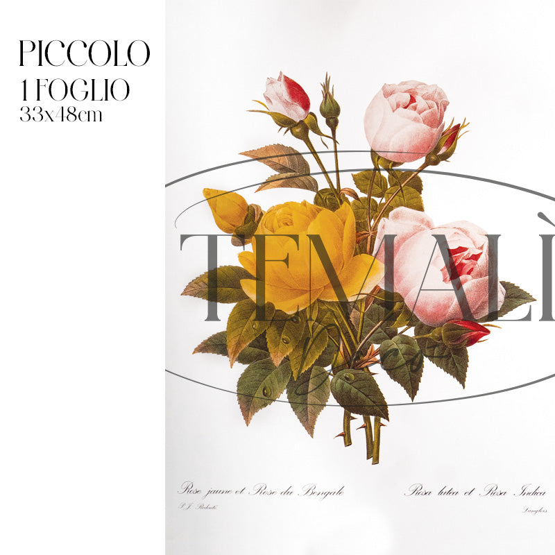 Dècoupage Botanical Vintage - Bouquet di Rose