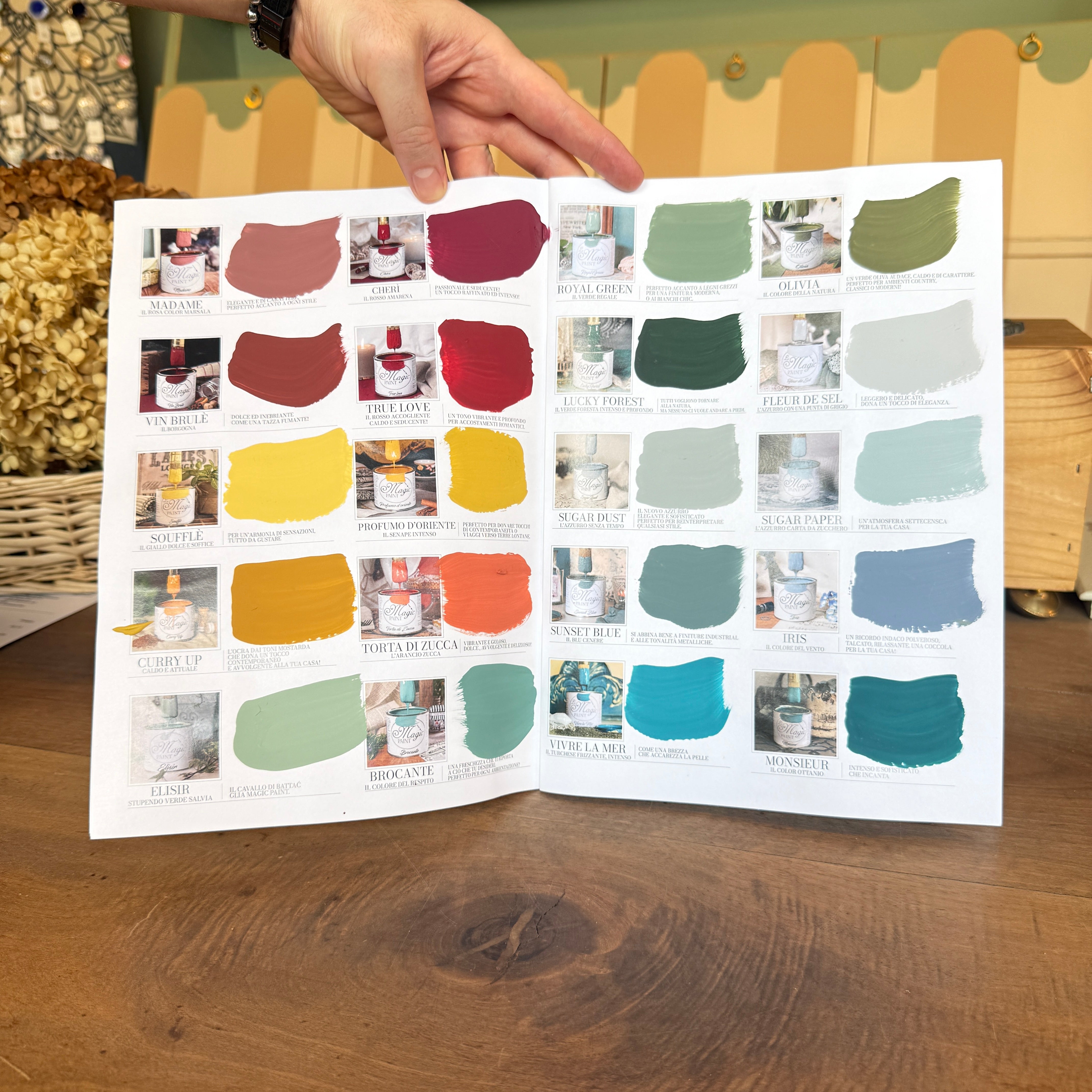 Cartella Colori PAINT e Guida all'Utilizzo