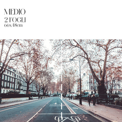 Découpage Città - London Street