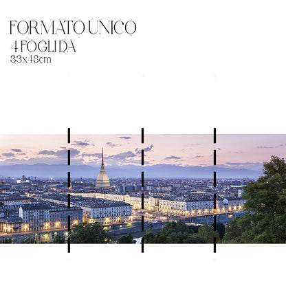 Dècoupage Città - Torino