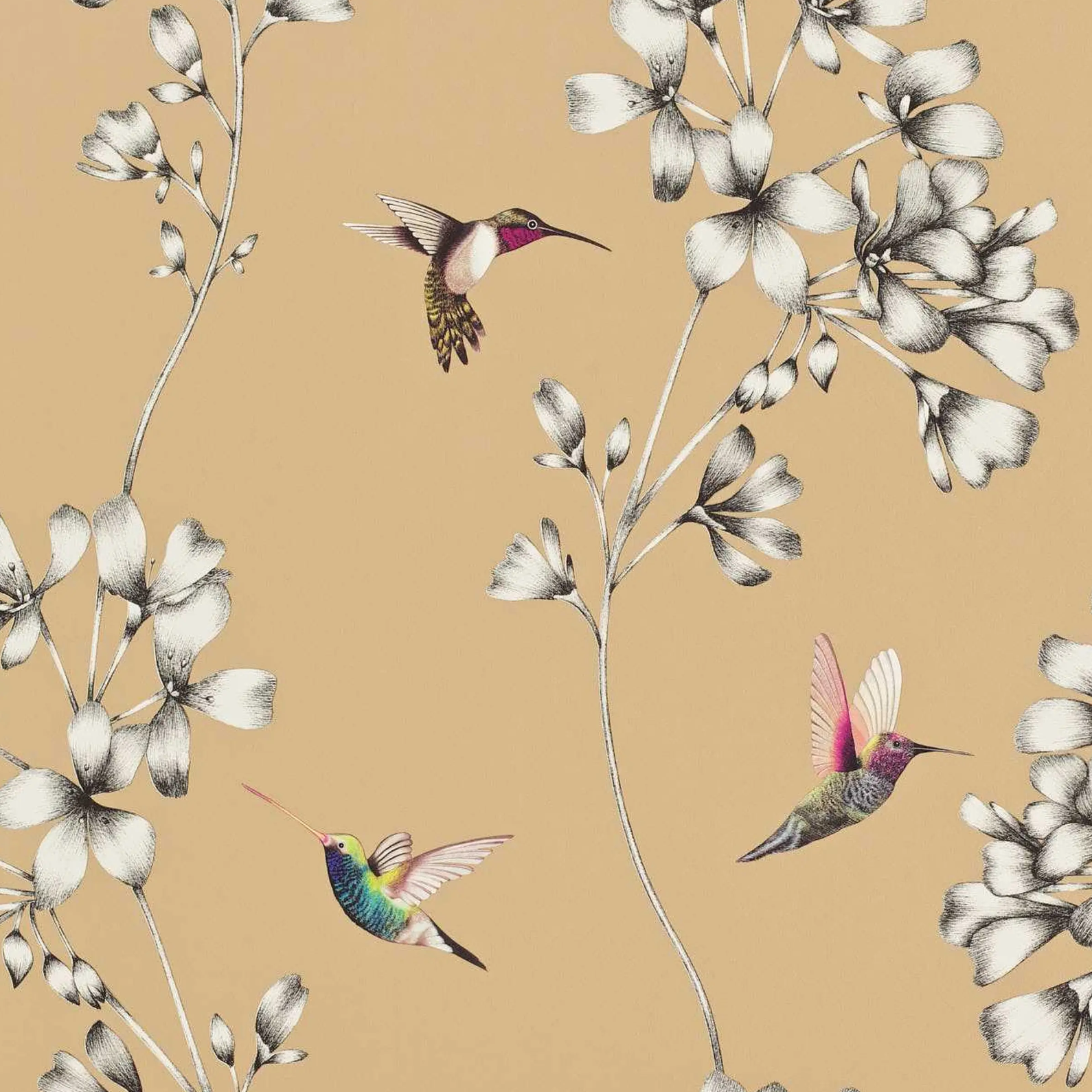 Carta da Parati “Amazilia Bronzo” | HARLEQUIN