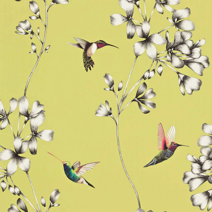 Carta da Parati “Amazilia Gialla” | HARLEQUIN