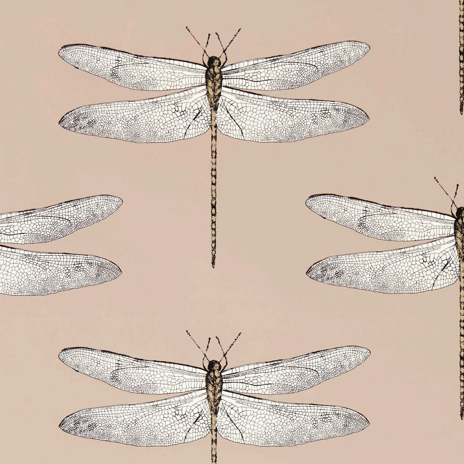 Carta da Parati “Demoiselle Rosa” | HARLEQUIN