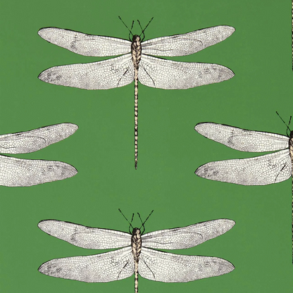 Carta da Parati “Demoiselle Verde” | HARLEQUIN