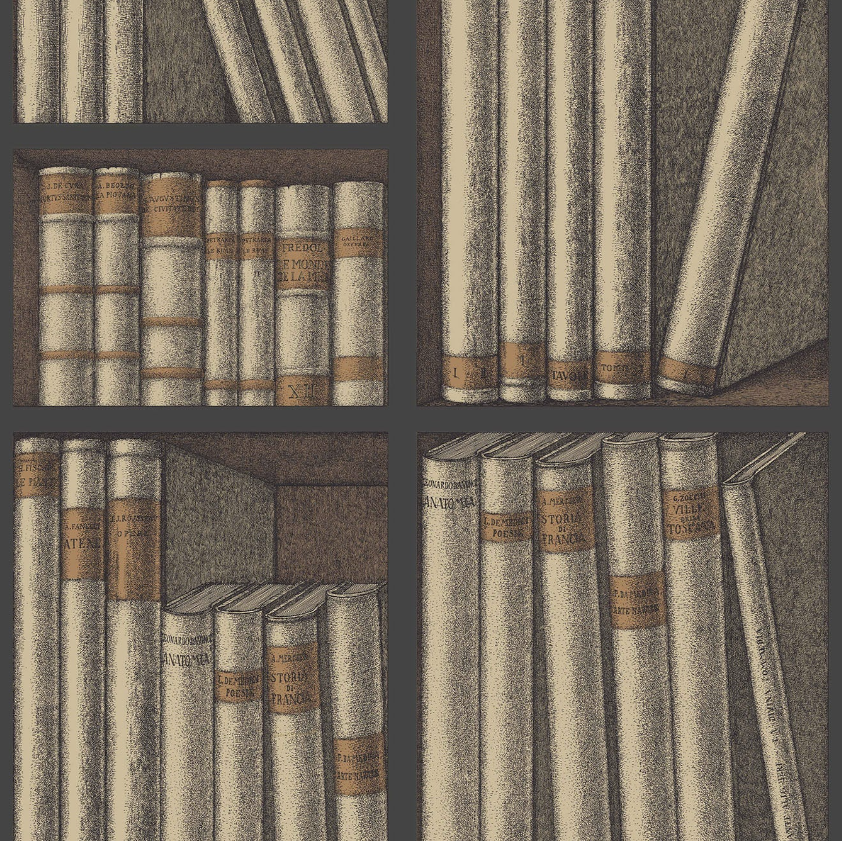 Carta da Parati "Ex libris arancione" Fornasetti | COLE & SON