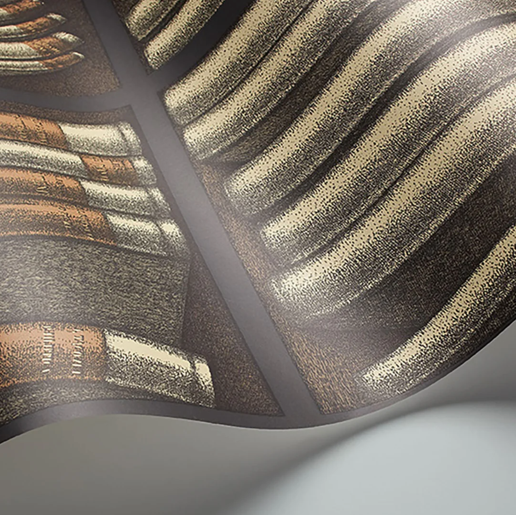 Carta da Parati "Ex libris arancione" Fornasetti | COLE & SON