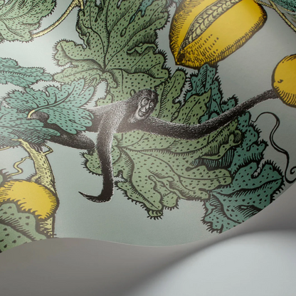 Carta da Parati "Frutto proibito azzurro" Fornasetti | COLE & SON