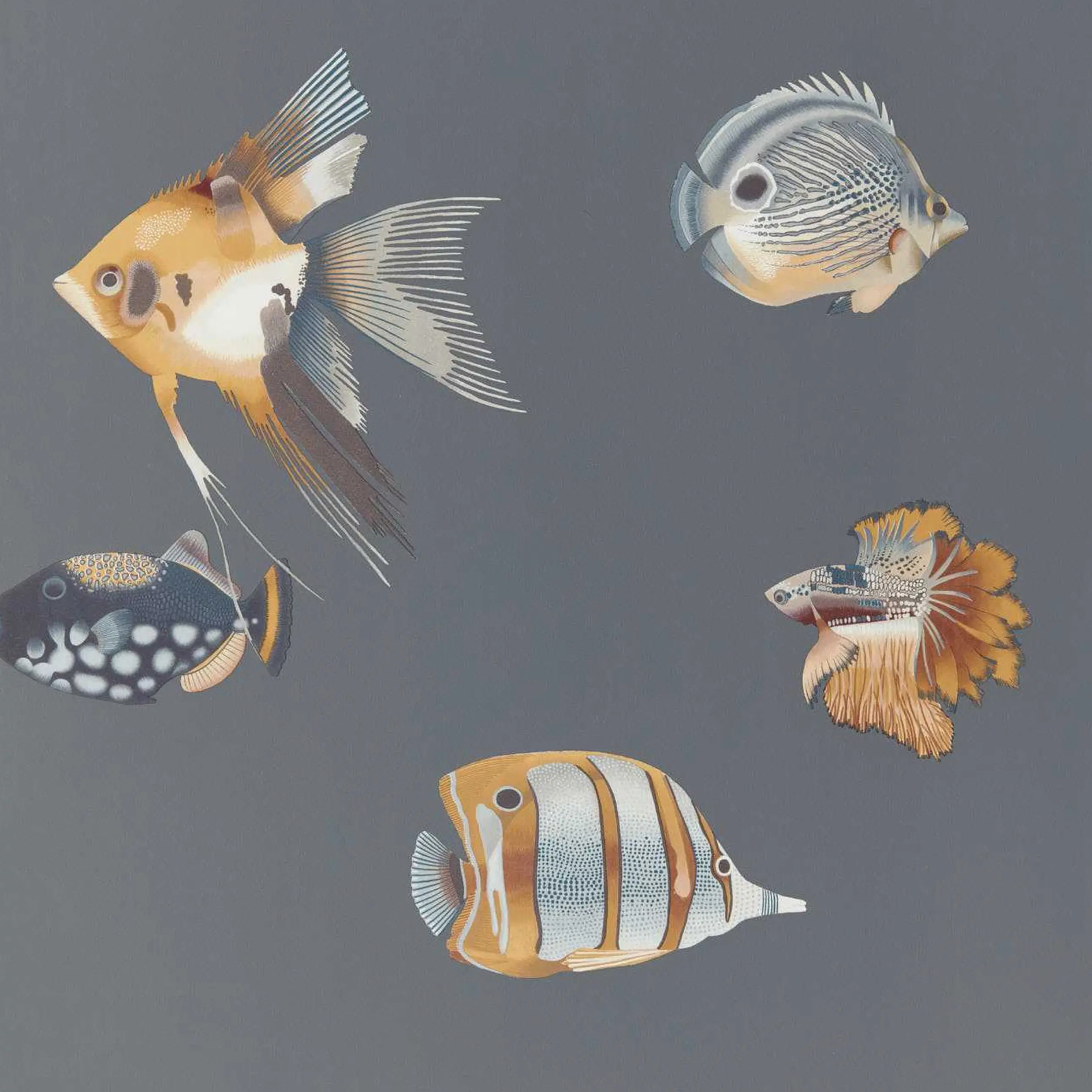 Carta da Parati “Kamanu Grigio scuro” | HARLEQUIN