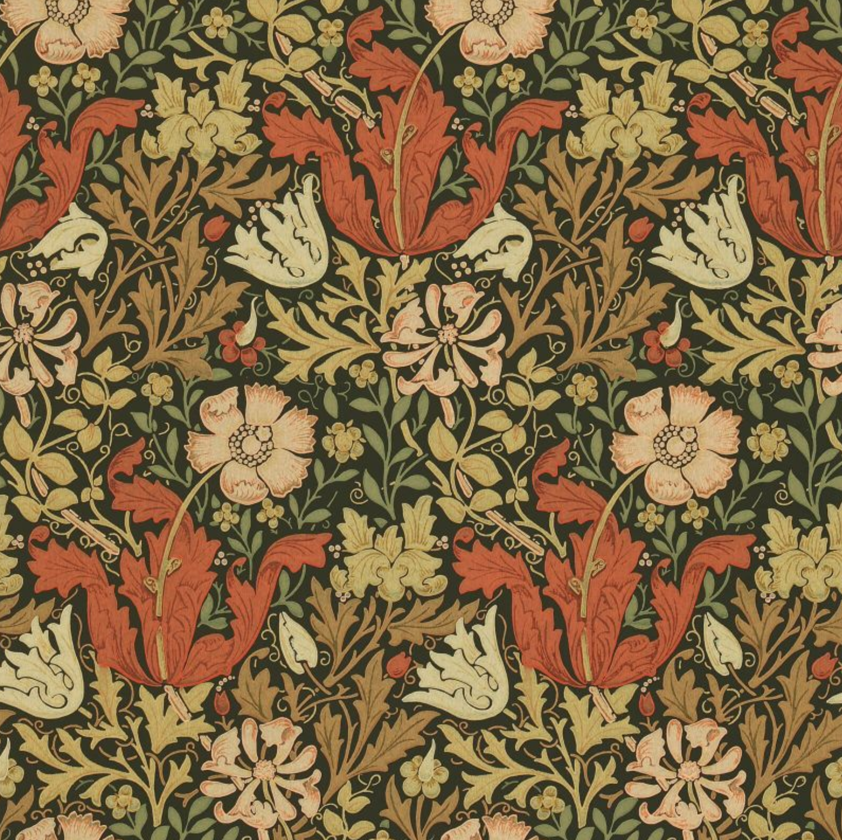 Carta da parati “Compton” arancione, catalogo Morris & Friends a metraggio o rotolo