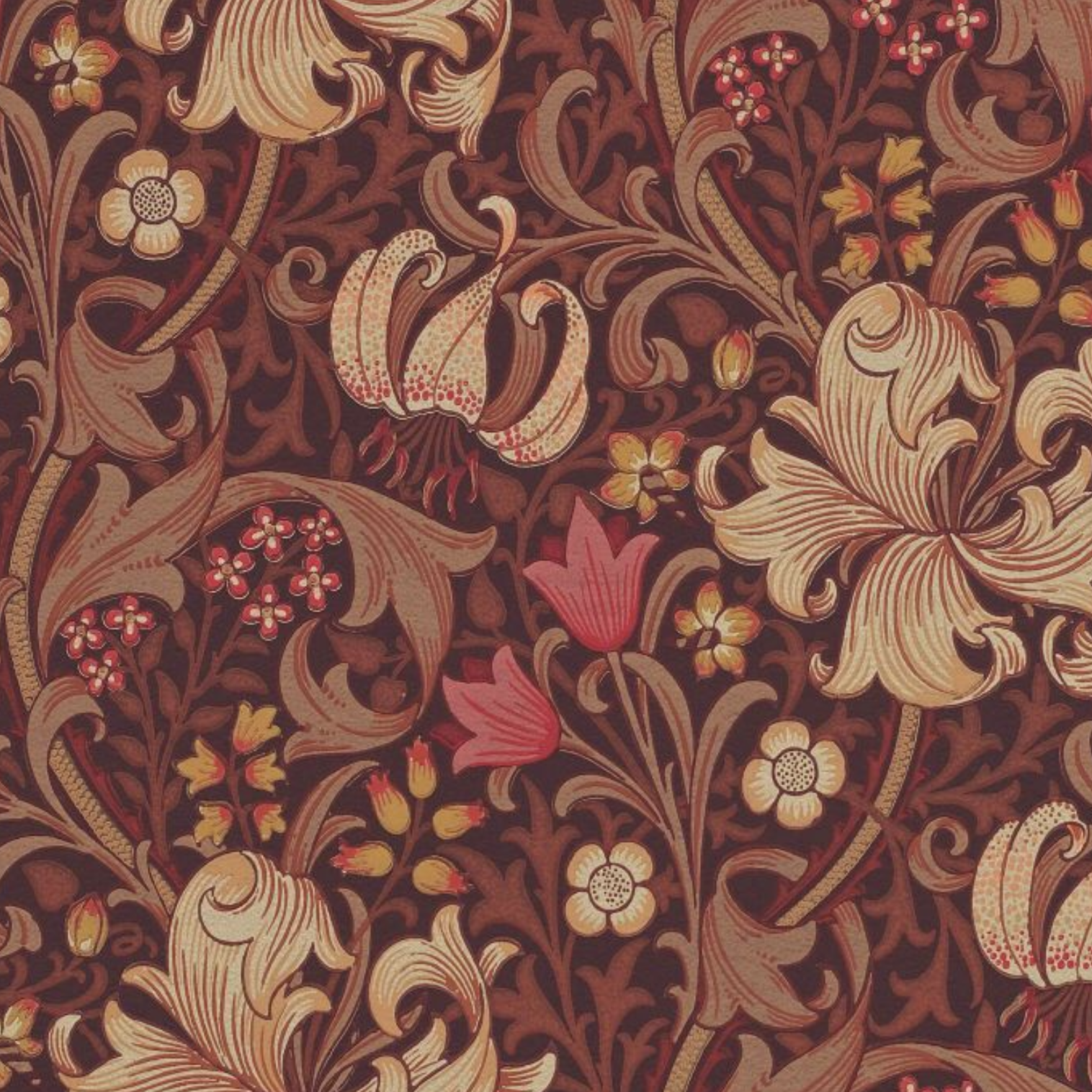 Carta da parati “Golden Lily” marrone, catalogo Morris & Friends a metraggio o rotolo