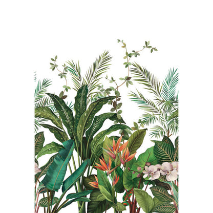 Carta da parati - "Bird of Paradise Mural - White" | WALLQUEST - DAISY BENNETT