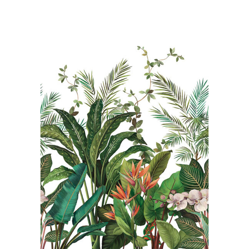 Carta da parati - "Bird of Paradise Mural - White" | WALLQUEST - DAISY BENNETT