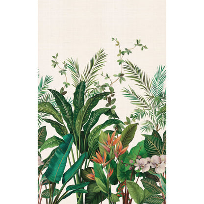 Carta da parati - "Bird of Paradise Mural - Natural" | WALLQUEST - DAISY BENNETT