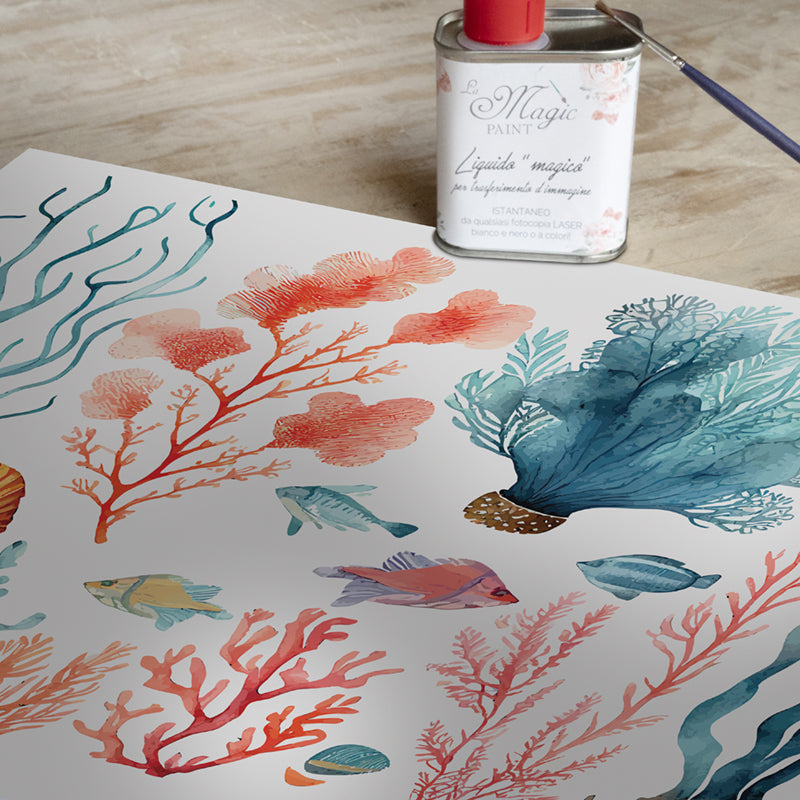 Stampa Trasferibile “BARRIERA CORALLINA” 28×40 cm