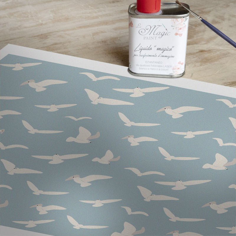 Stampa Trasferibile “CLEAR SKY” 28×40 cm