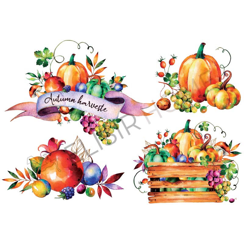 Stampa Trasferibile “AUTUNNO, AUTUMN HARVESTE” 28×40 cm