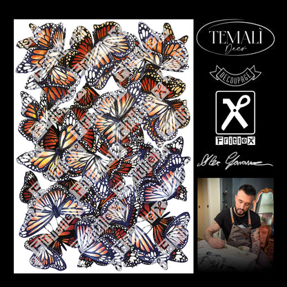 Dècoupage Collezione Alex - Farfalle