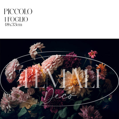 Dècoupage Modern Flora - Astri Notturni