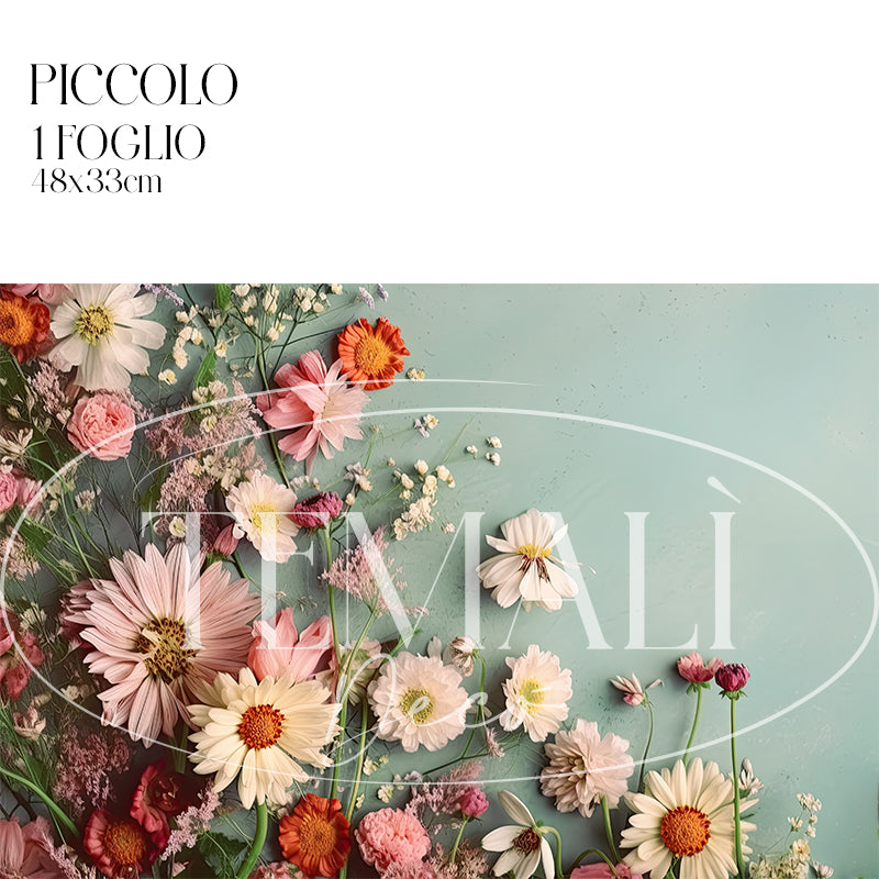 Découpage Modern Flora - Margherite