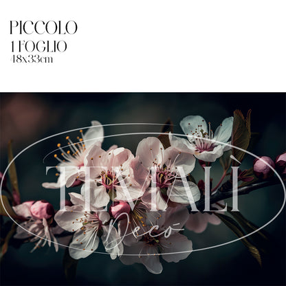 Dècoupage Modern Flora - Fiori di Ciliegio