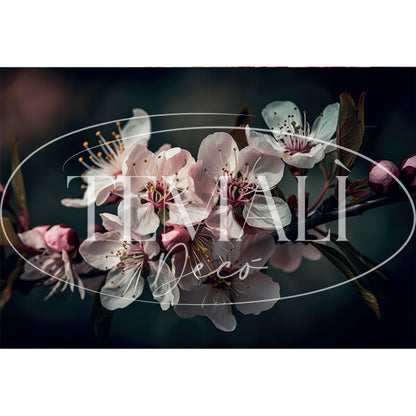 Dècoupage Modern Flora - Fiori di Ciliegio