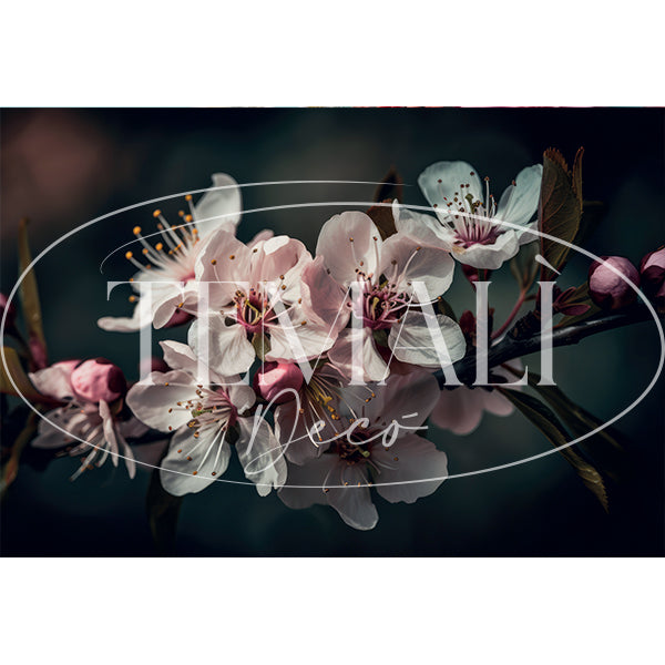 Dècoupage Modern Flora - Fiori di Ciliegio