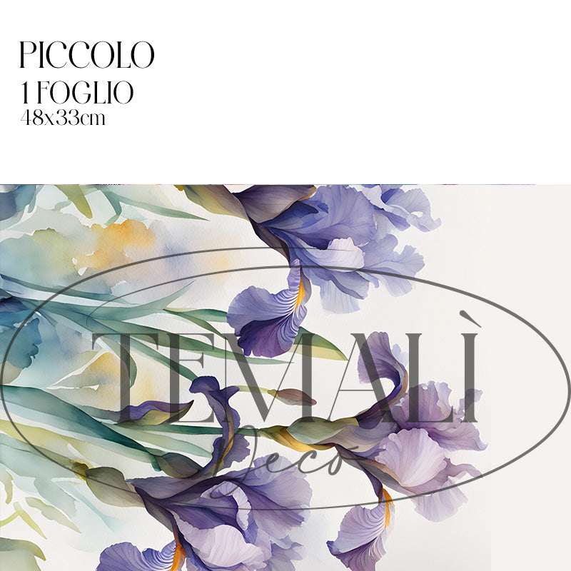 Dècoupage Modern Flora – Fiori acquerello viola