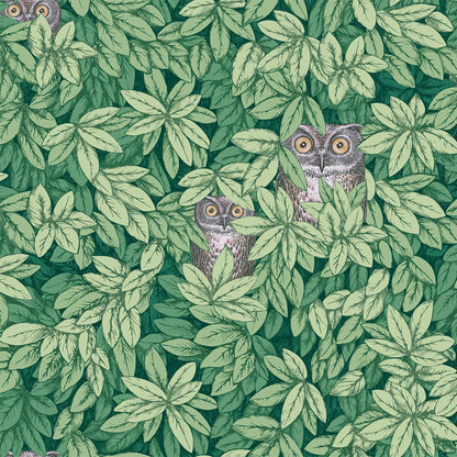 Carta da Parati "FOGLIE E CIVETTE VERDE" Fornasetti | COLE & SON