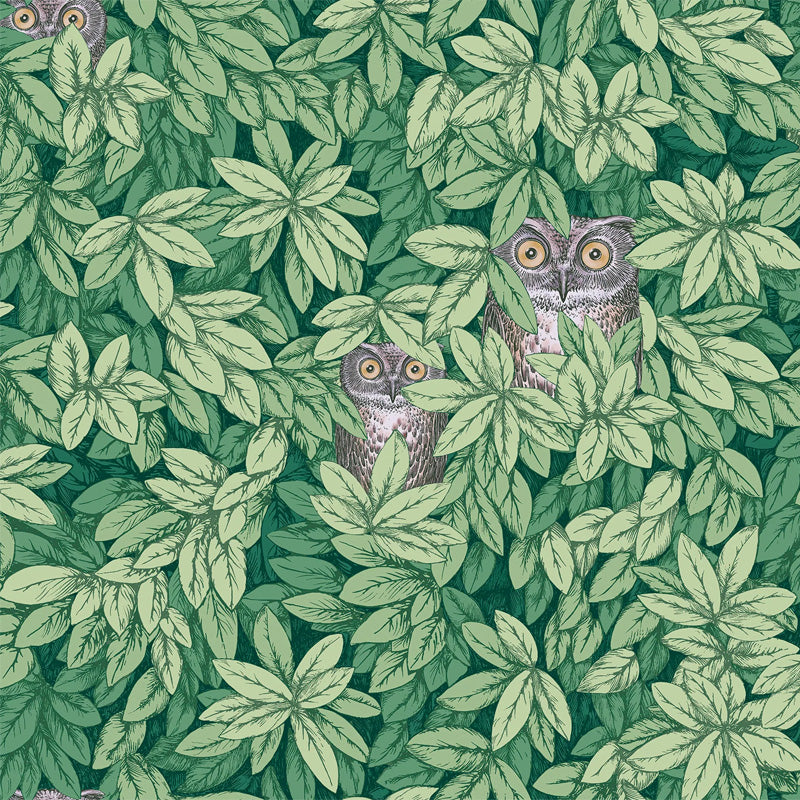Carta da Parati "FOGLIE E CIVETTE VERDE" Fornasetti | COLE & SON