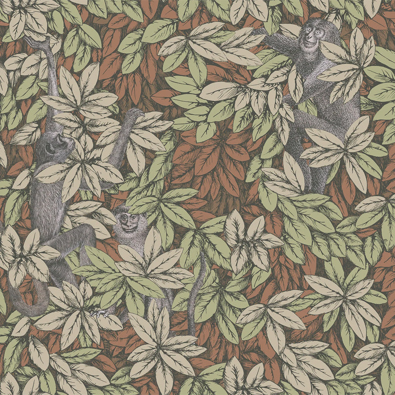 Carta da Parati "FOGLIE E SCIMMIE OLIVA" Fornasetti | COLE & SON