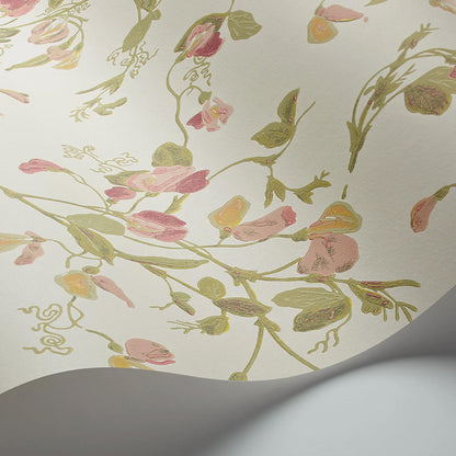 Carta da Parati "SWEET PEA Archive Anthology Coral & Olive on Cream" Botanical | COLE & SON