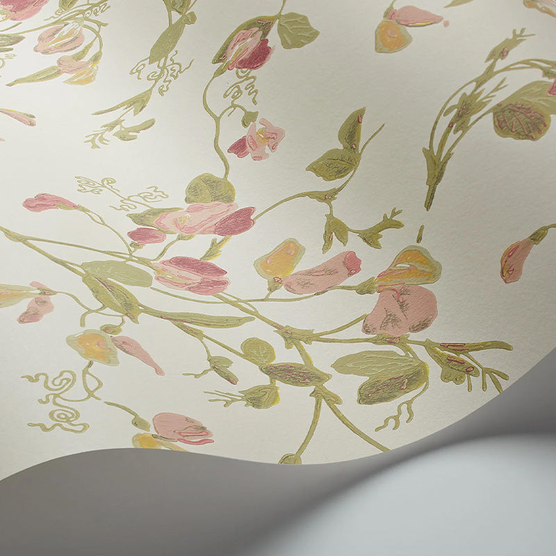 Carta da Parati "SWEET PEA Archive Anthology Coral & Olive on Cream" Botanical | COLE & SON