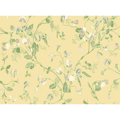 Carta da Parati "SWEET PEA Archive Anthology Grey & Lime on Yellow" Botanical | COLE & SON