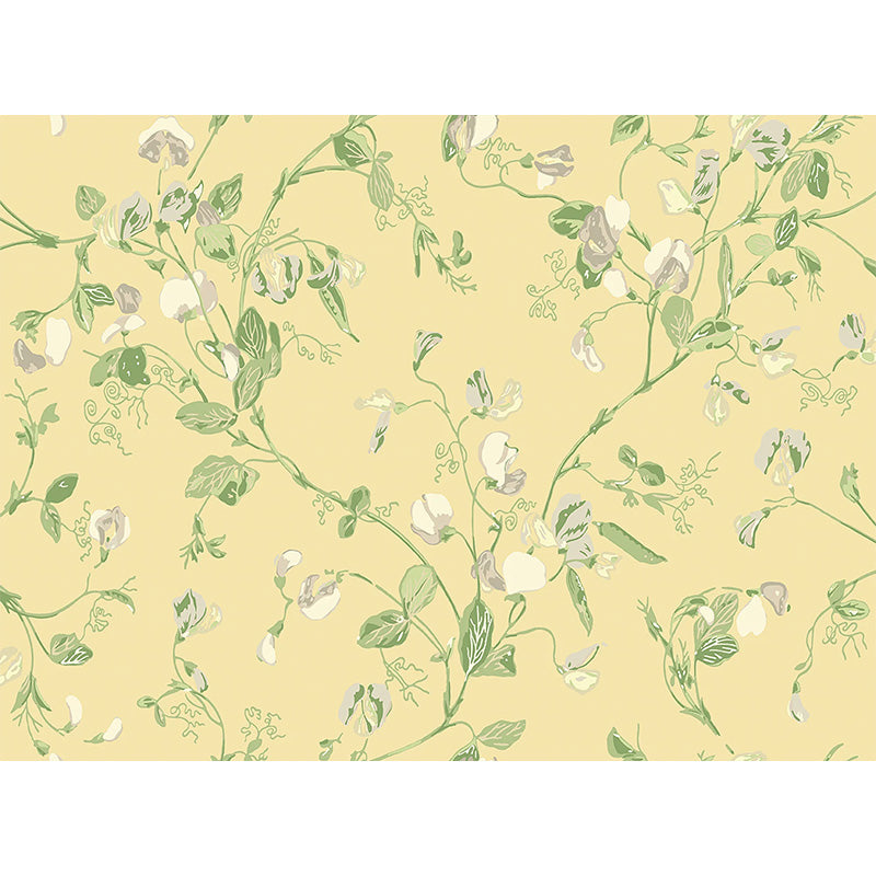Carta da Parati "SWEET PEA Archive Anthology Grey & Lime on Yellow" Botanical | COLE & SON