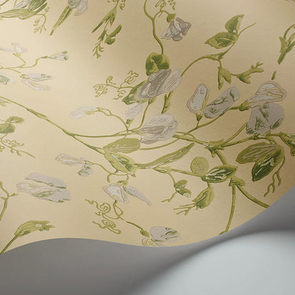Carta da Parati "SWEET PEA Archive Anthology Grey & Lime on Yellow" Botanical | COLE & SON
