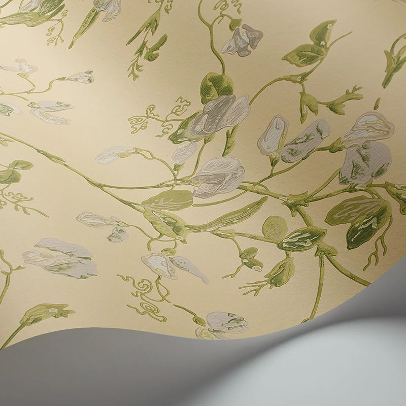 Carta da Parati "SWEET PEA Archive Anthology Grey & Lime on Yellow" Botanical | COLE & SON