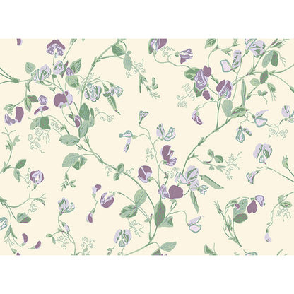Carta da Parati "SWEET PEA Archive Anthology Mulberry & Sage on Cream" Botanical | COLE & SON