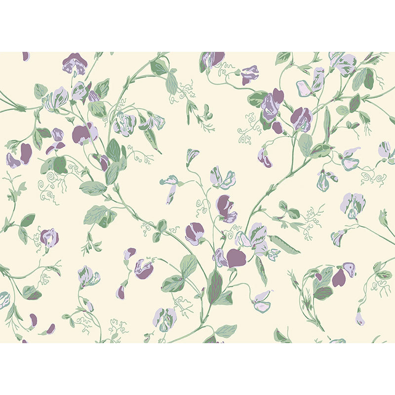 Carta da Parati "SWEET PEA Archive Anthology Mulberry & Sage on Cream" Botanical | COLE & SON