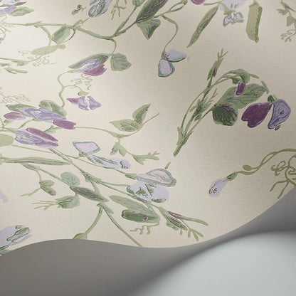 Carta da Parati "SWEET PEA Archive Anthology Mulberry & Sage on Cream" Botanical | COLE & SON